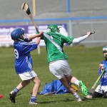 Allianz Cunann na mBunscol Mini 7's Hurling Finals 2016