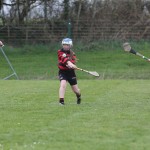 Eastern Mini 7'S Camogie Finals 2016 : Photo Maurice Hennebry