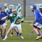 Allianz Cunann na mBunscol Mini 7's Hurling Finals 2016