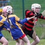 Eastern Mini 7'S Camogie Finals 2016 : Photo Maurice Hennebry