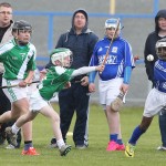 Allianz Cunann na mBunscol Mini 7's Hurling Finals 2016