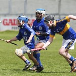 Allianz Cunann na mBunscol Mini 7's Hurling Finals 2016