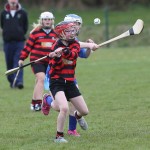 Eastern Mini 7'S Camogie Finals 2016 : Photo Maurice Hennebry