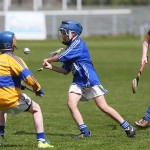 Allianz Cunann na mBunscol Mini 7's Hurling Finals 2016