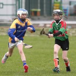 Eastern Mini 7'S Camogie Finals 2016 : Photo Maurice Hennebry