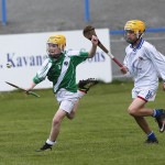 Allianz Cunann na mBunscol Mini 7's Hurling Finals 2016