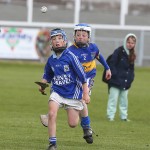 Allianz Cunann na mBunscol Mini 7's Hurling Finals 2016