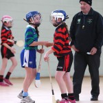 East Waterford Allianz Cumann na mBunscol Girls Indoor Camogie Finals