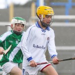 Allianz Cunann na mBunscol Mini 7's Hurling Finals 2016