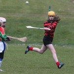 Eastern Mini 7'S Camogie Finals 2016 : Photo Maurice Hennebry