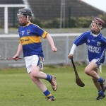 Allianz Cunann na mBunscol Mini 7's Hurling Finals 2016