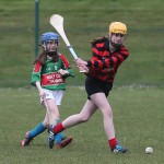 Eastern Mini 7'S Camogie Finals 2016 : Photo Maurice Hennebry