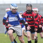 Allianz Cunann na mBunscol Mini 7's Hurling Finals 2016