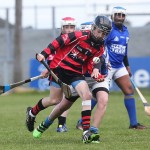 Allianz Cunann na mBunscol Mini 7's Hurling Finals 2016