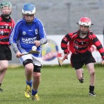 Allianz Cunann na mBunscol Mini 7's Hurling Finals 2016