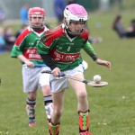 Eastern Mini 7'S Camogie Finals 2016 : Photo Maurice Hennebry