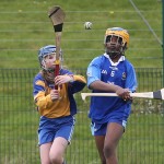 Eastern Mini 7'S Camogie Finals 2016 : Photo Maurice Hennebry