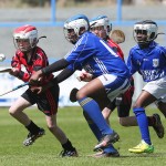 Allianz Cunann na mBunscol Mini 7's Hurling Finals 2016