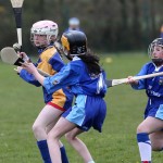 Eastern Mini 7'S Camogie Finals 2016 : Photo Maurice Hennebry