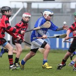 Allianz Cunann na mBunscol Mini 7's Hurling Finals 2016