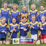 Eastern Mini 7's Camogie Finals 2016