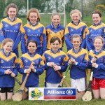 Eastern Mini 7's Camogie Finals 2016