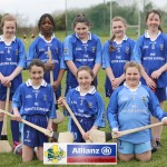 Eastern Mini 7's Camogie Finals 2016